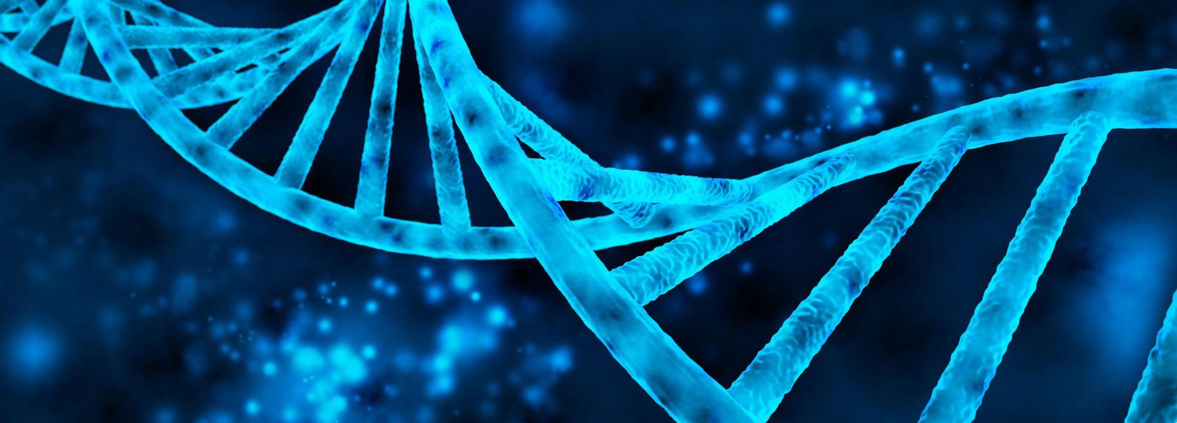 Erweitertes genetisches Alphabet: Aus vier mach sechs – mehr DNA-Basen, mehr Möglichkeiten für innovative Arzneimittel