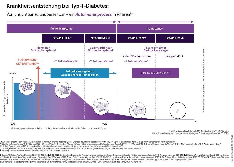 Krankheitsentstehung bei Typ-1-Diabetes