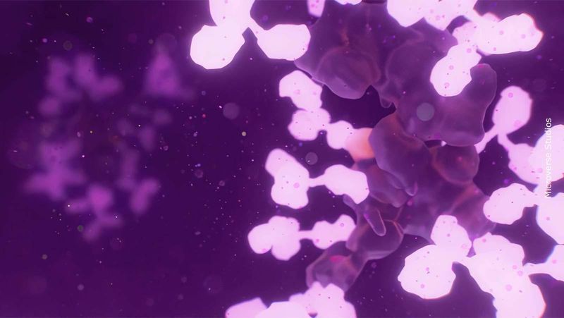 Wissenschaftliche 3D-Darstellung von Antikörpern