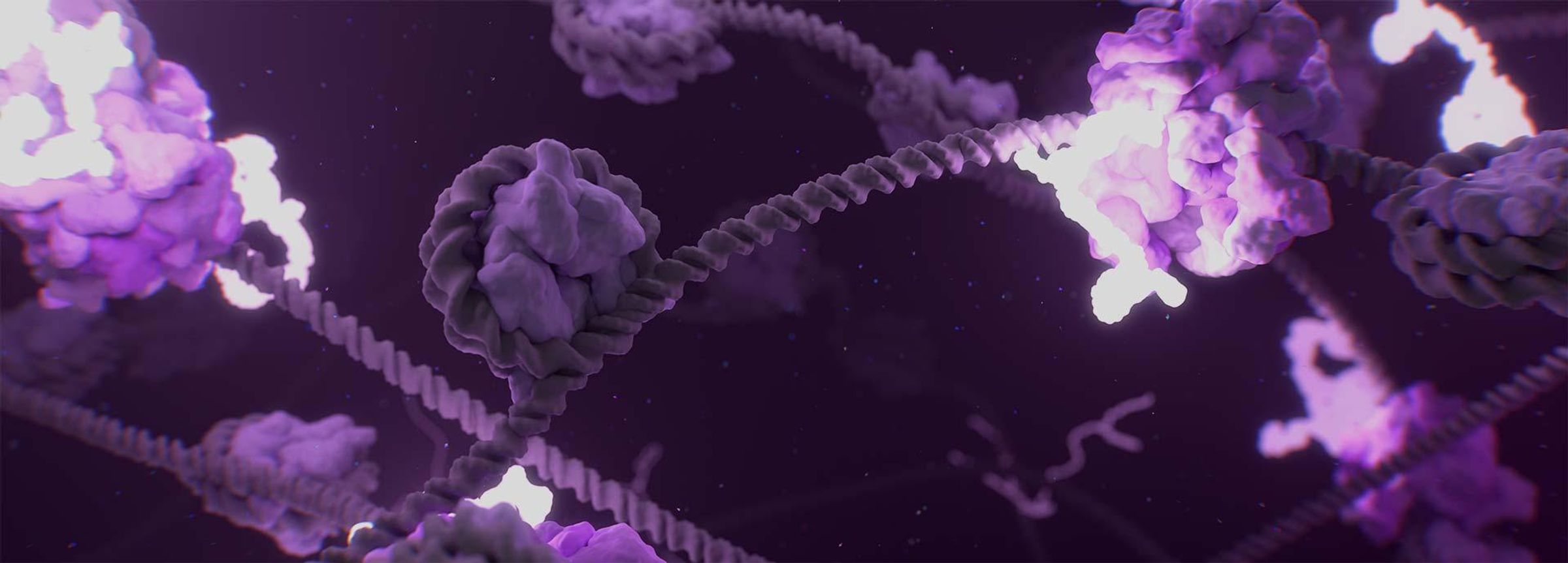 Wissenschaftliche 3D-Aufnahme