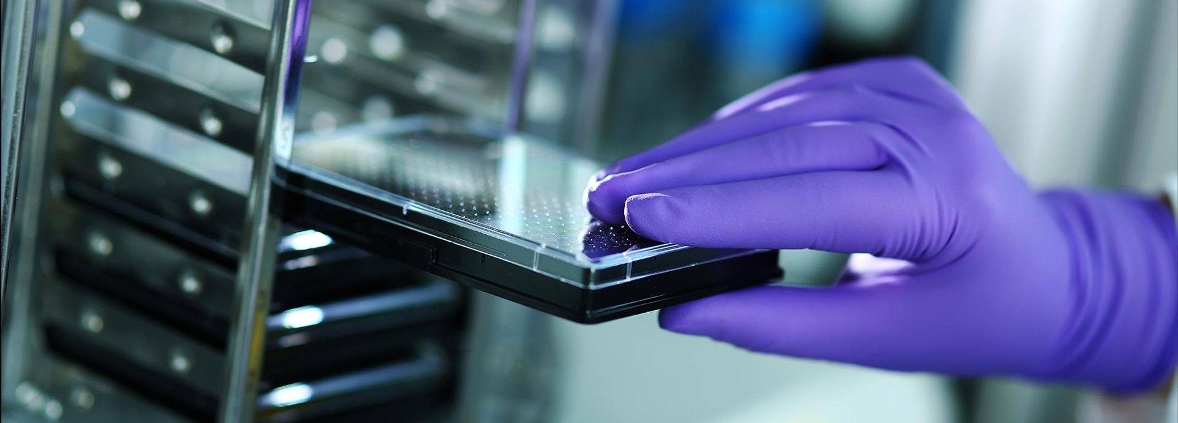 Eine Hochdurchsatz-Screening-Anlage wird bestückt