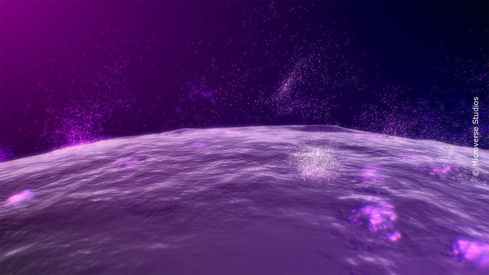 Wissenschaftliche 3D-Aufnahme