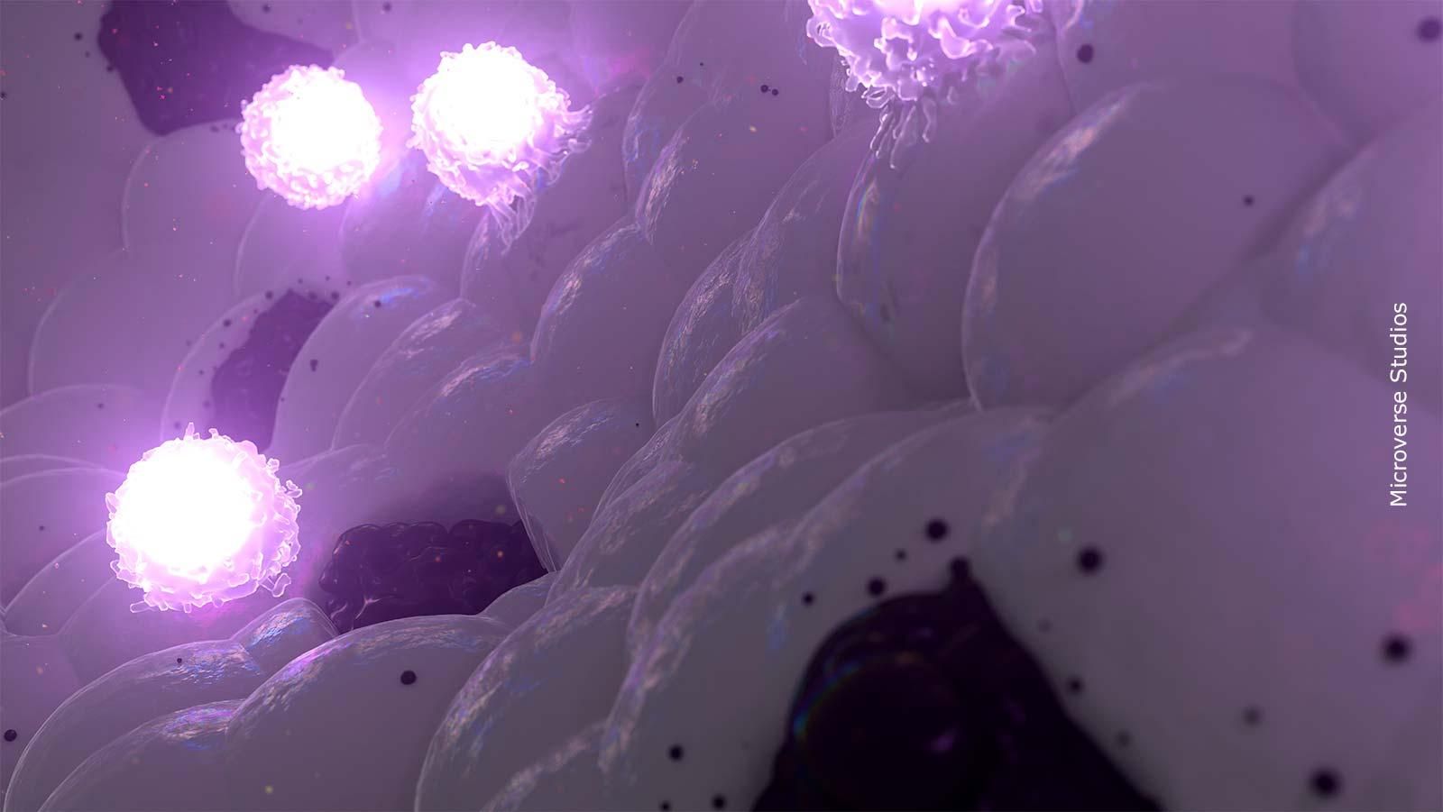 Wissenschaftliche 3D-Aufnahme