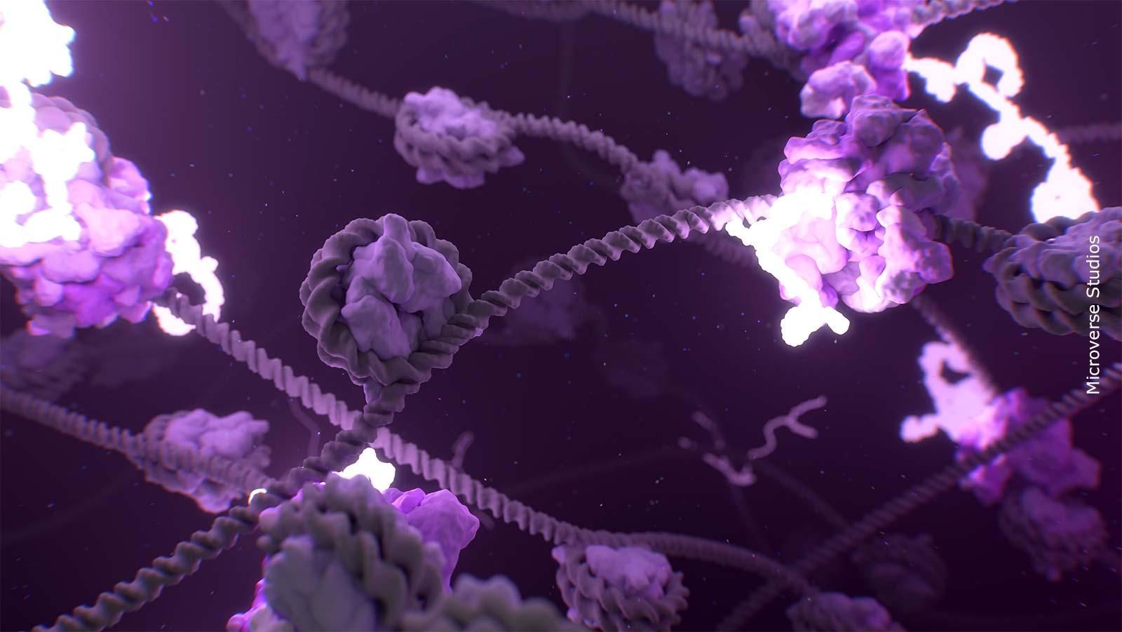 Wissenschaftliche 3D-Aufnahme