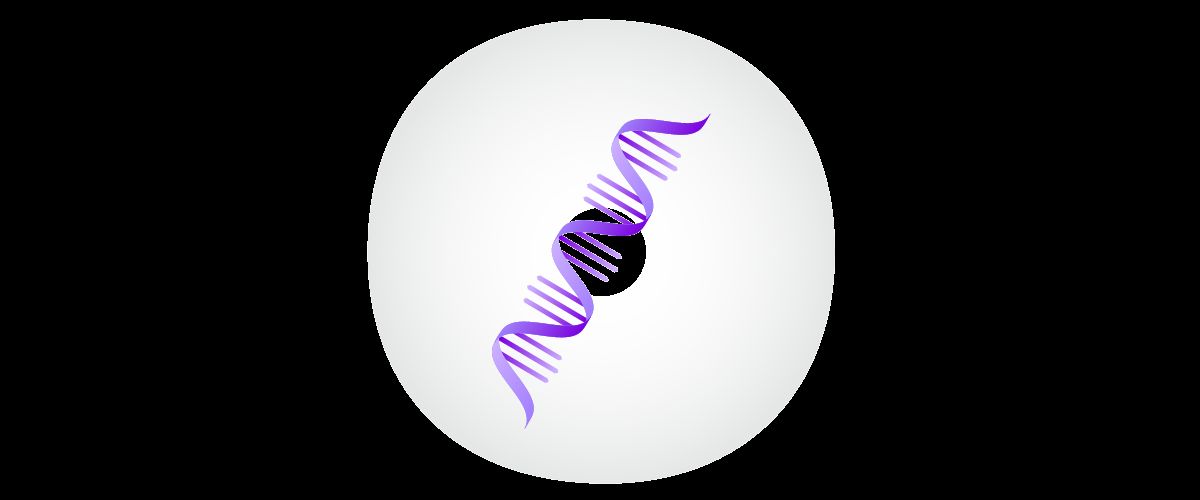 Schematische Darstellung einer mRNA