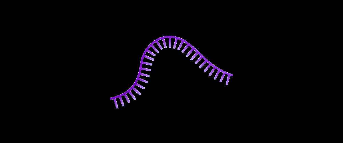 Schematische Darstellung einer RNA