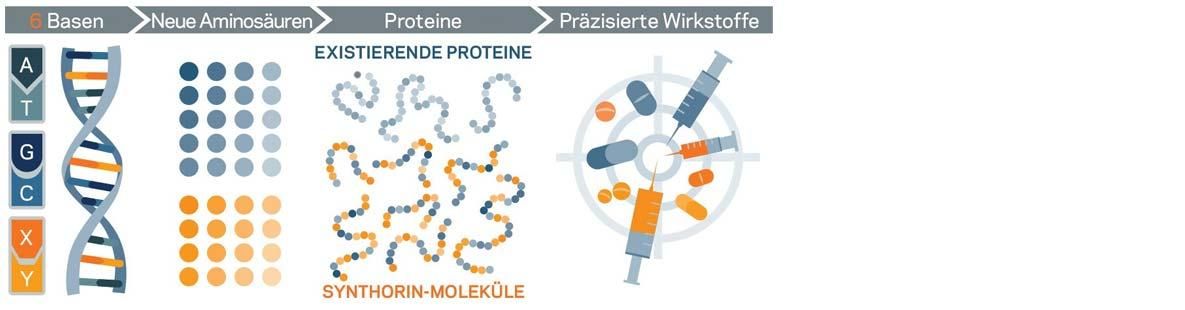 Illustration „Erweitertes Genetisches Alphabet“