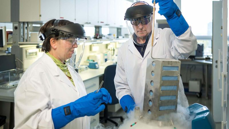 Innovationen vorantreiben